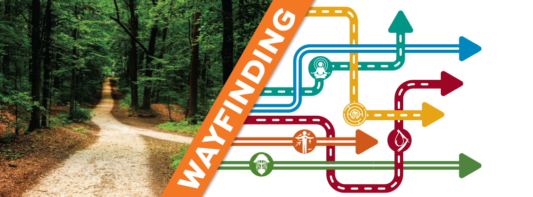 Wayfinding graphic showing a multitude of colorful paths