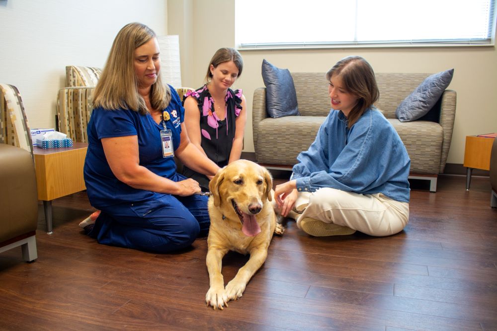 Veterinary social worker meeting with a veterinarian, a client and their dog