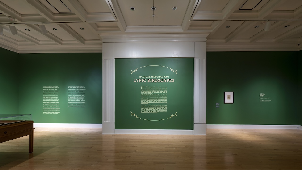 Title wall of Radical Naturalism: Lyric Birdscapes. Walls are an emerald green with light gold text and surrounding leaf graphic elements and white trim