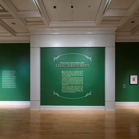 Title wall of Radical Naturalism: Lyric Birdscapes. Walls are an emerald green with light gold text and surrounding leaf graphic elements and white trim