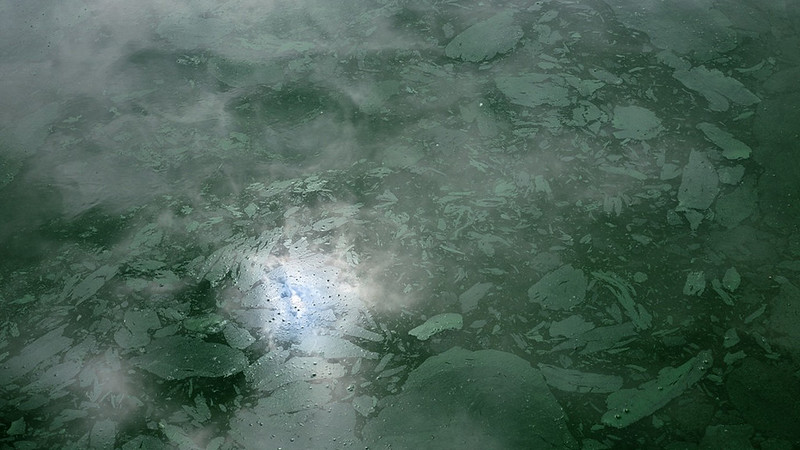 Photograph of the oily surface of green water of an Alabama catfish pond