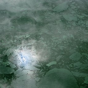 Photograph of the oily surface of green water of an Alabama catfish pond
