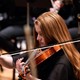 Orchestra
