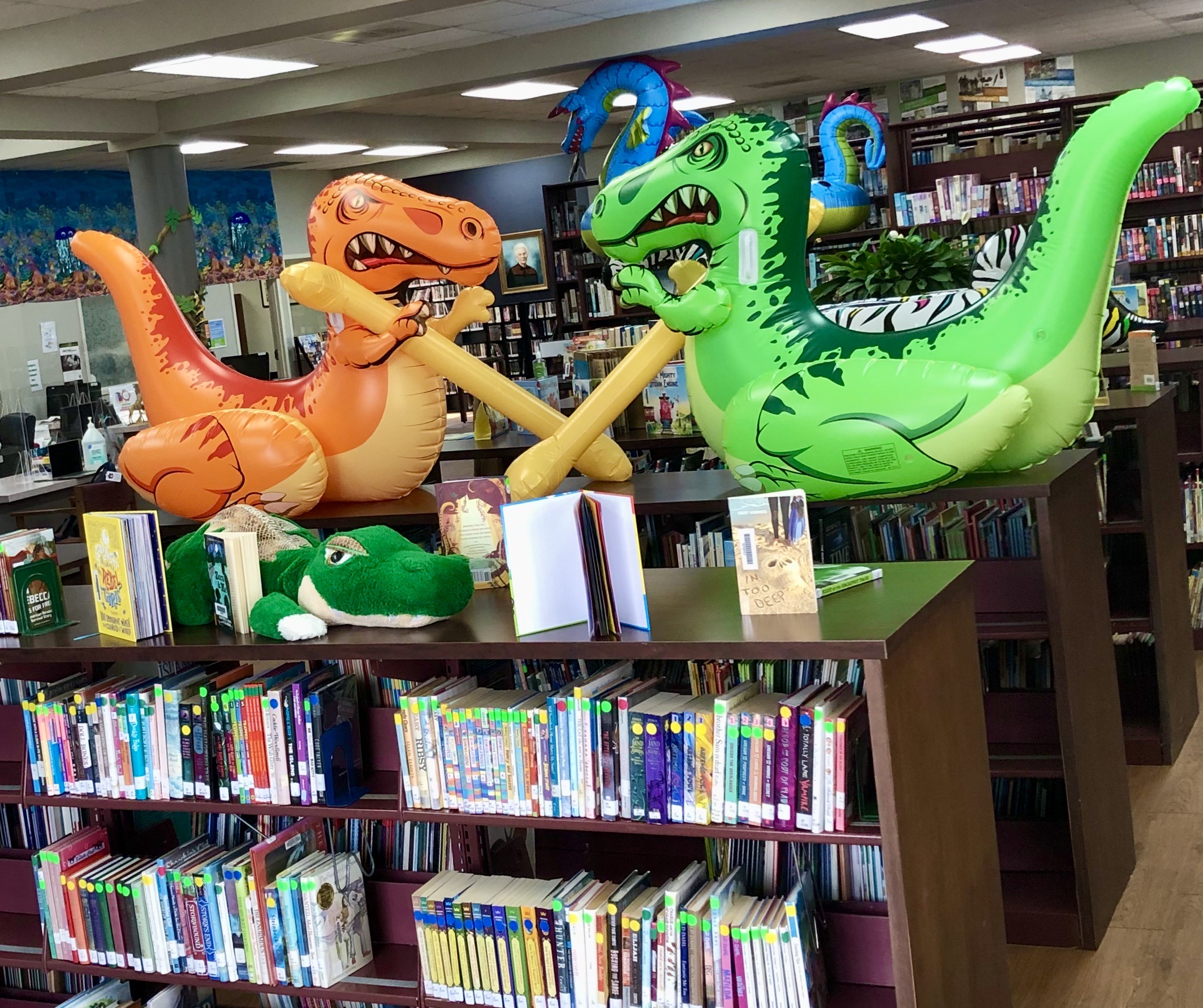 kids book area in the elba public library