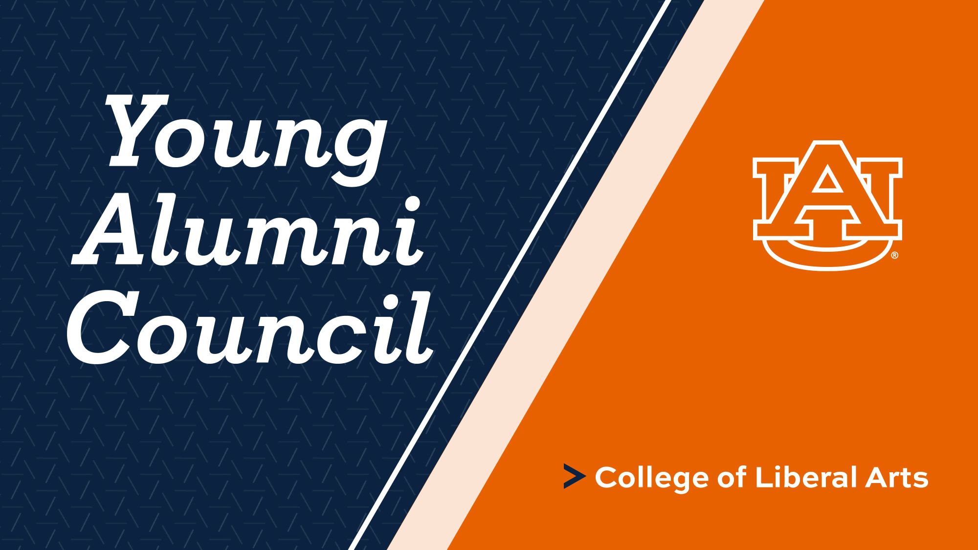 Young Alumni Council