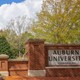 Auburn University Sign 