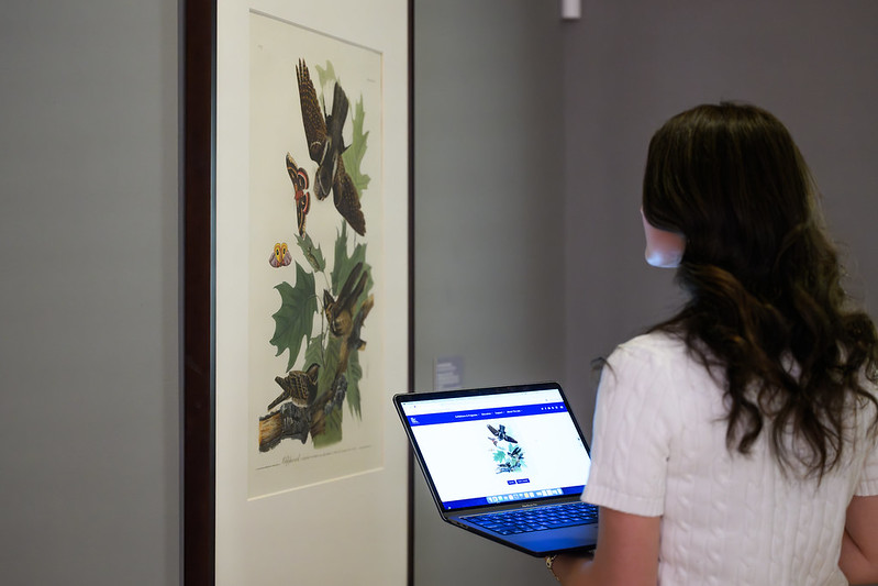Katelyn Zeeveld compares artwork in gallery with image on her laptop
