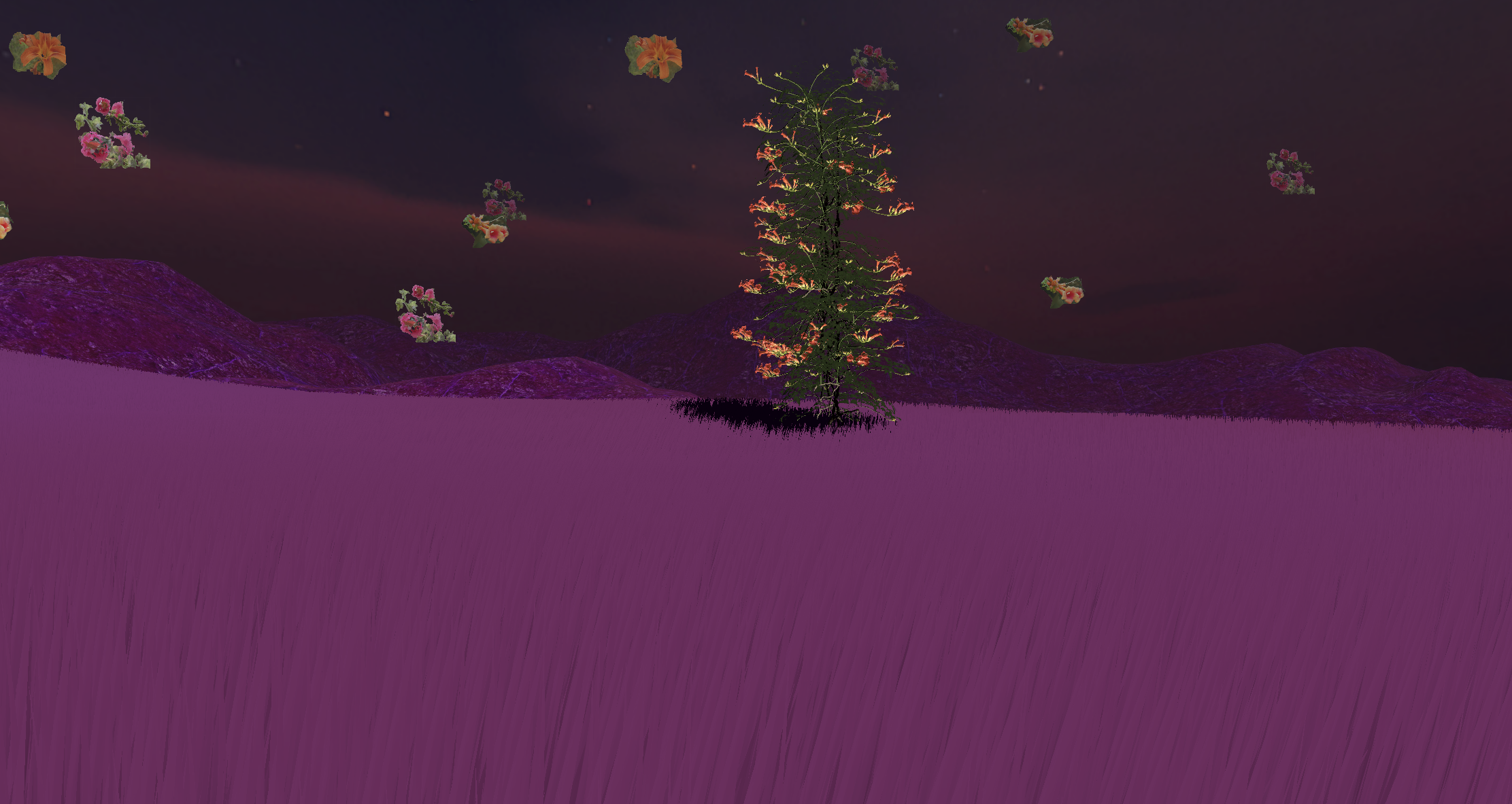 Meredith Starr | One Wild and Precious Life