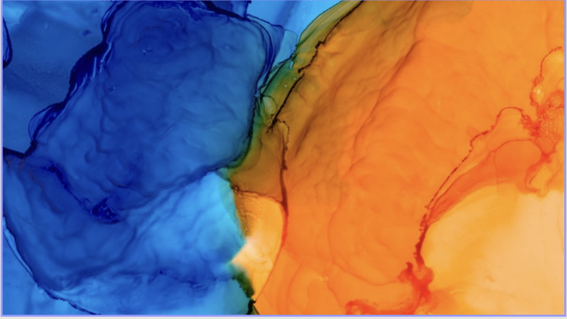 Spring 2025 Senior Project Exhibition