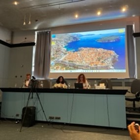 Person giving a presentation