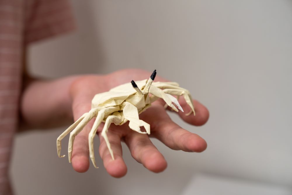 Collin Crowder holding finished, life-sized origami crab