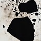 Kathleen Thum | Covering Carbon
