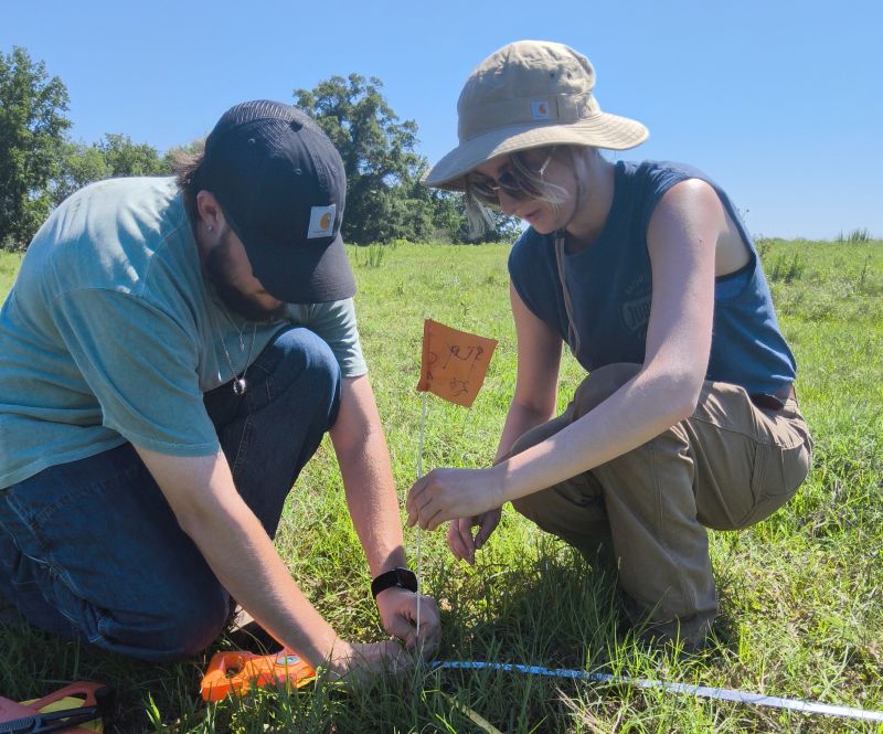 Two students using a measuring tape to place a flag in the ground